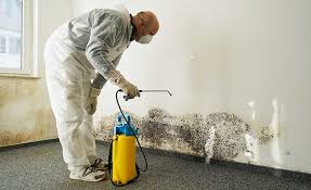 Best Biohazard Mold Removal in Bayview, CA