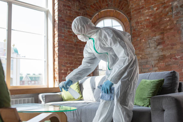  Bayview, CA Mold Removal Pros