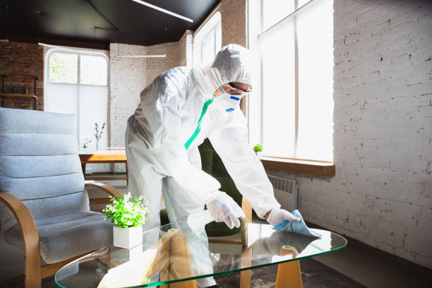 Best Forensic Mold Investigation in Bayview, CA